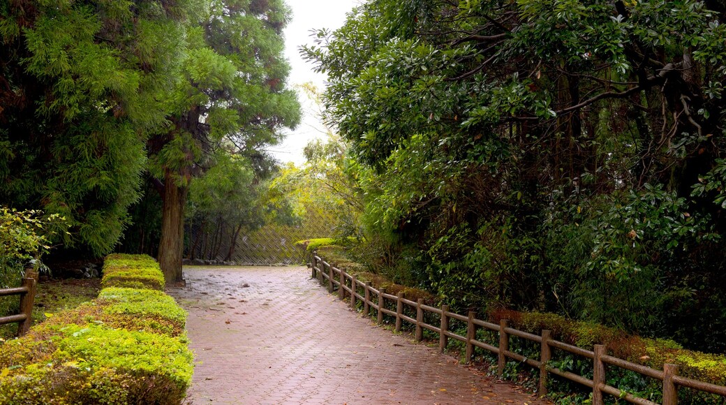 Kiyomizugaoka Park showing a garden