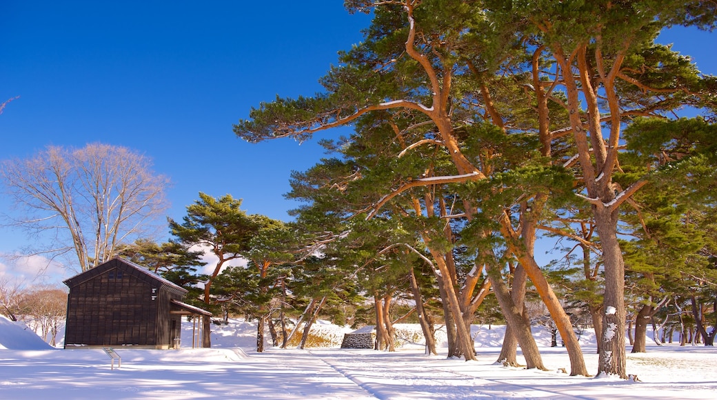 Fort Goryokaku featuring snow
