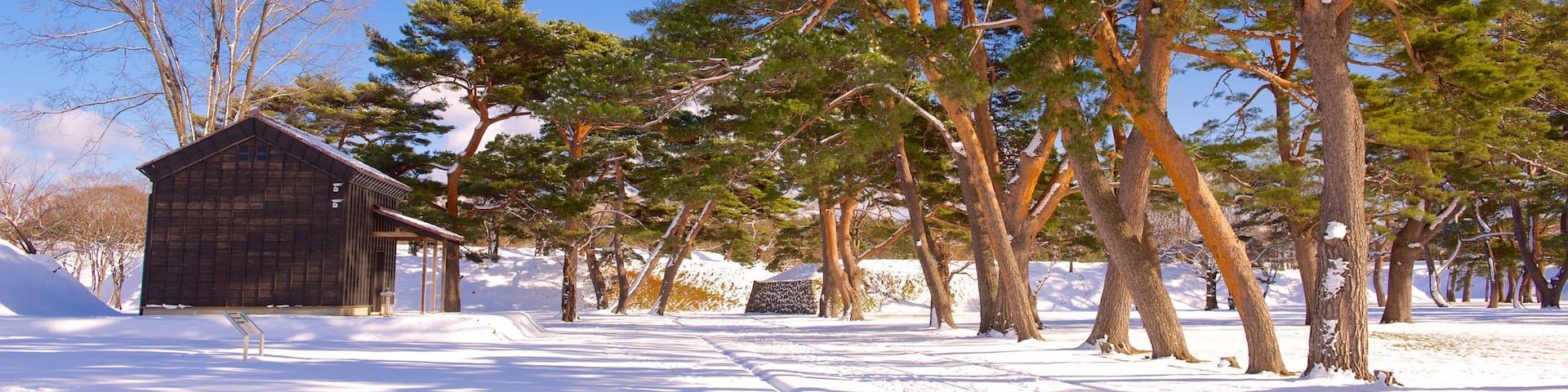 Fort Goryokaku featuring snow