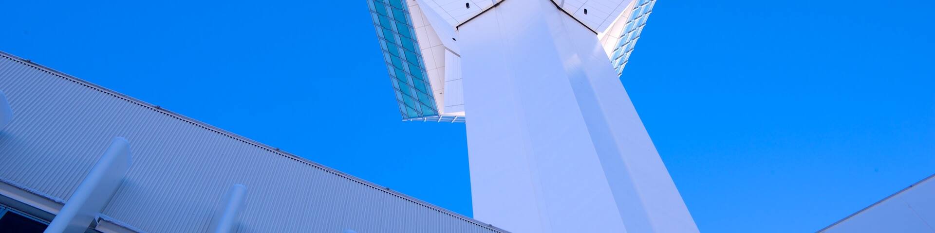 Goryokaku Tower showing modern architecture