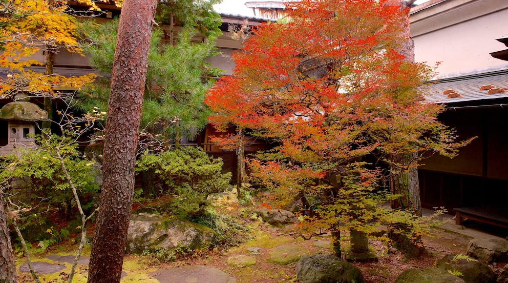 Kusakabe Mingei-kan which includes autumn leaves and a park