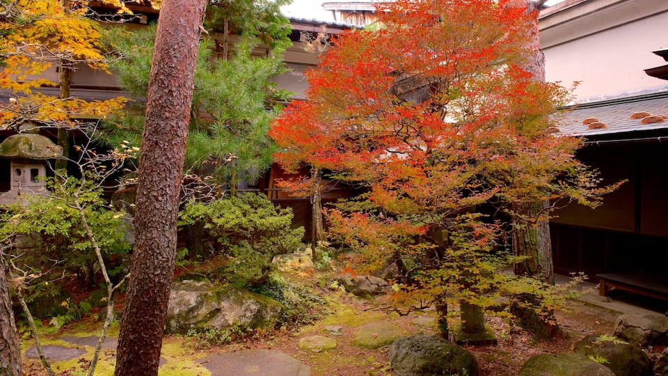 Kusakabe Mingei-kan showing autumn leaves and a garden