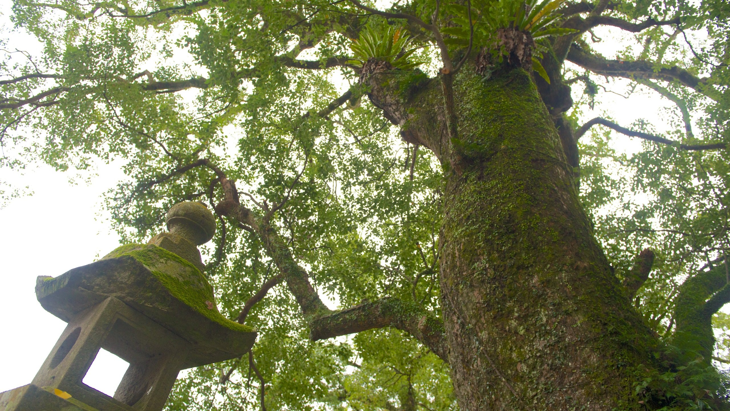 Nitta Shrine, Satsumasendai Vacation Rentals & more Vrbo