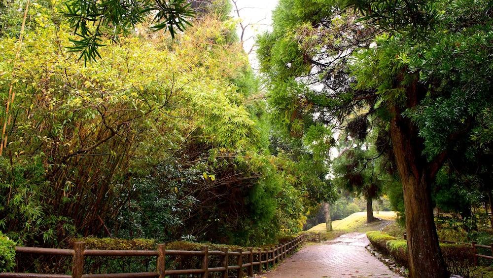 Kiyomizugaoka Park which includes a garden