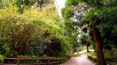 Kiyomizugaoka-Park mit einem Garten