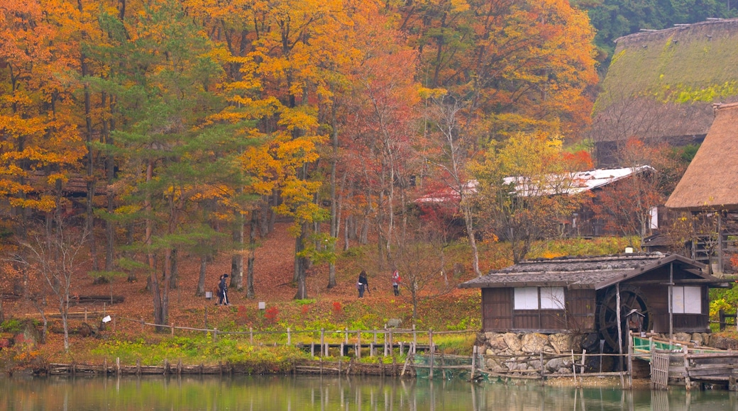 Poblado tradicional Hida Minzoku Mura ofreciendo escenas forestales, los colores del otoño y un lago o abrevadero