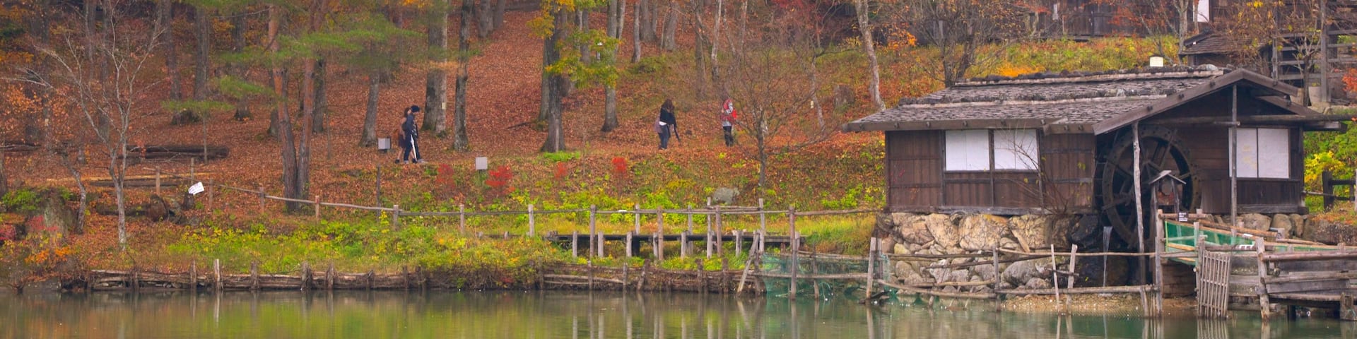 Hida Minzoku Mura Folk Village showing fall colors, forest scenes and a lake or waterhole