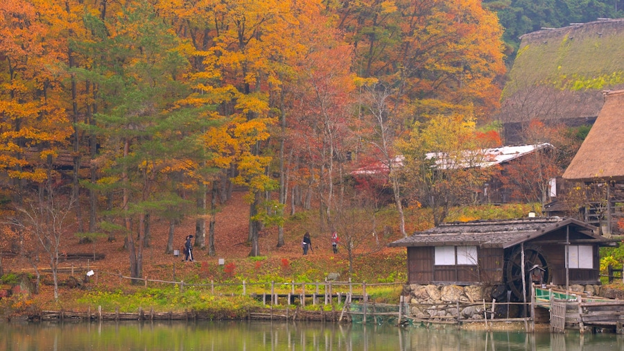 Hida Minzoku Mura Folk Village showing forest scenes, a lake or waterhole and autumn colours