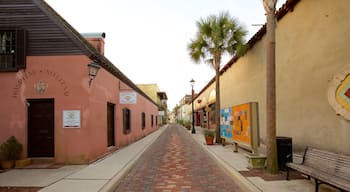 St. Augustine featuring street scenes