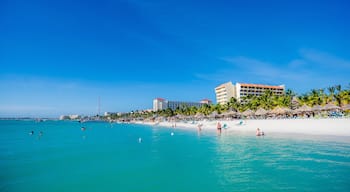 Palm Beach featuring a sandy beach