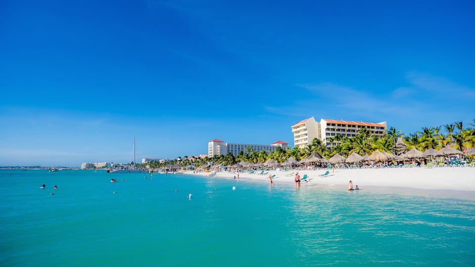 Palm Beach featuring a sandy beach