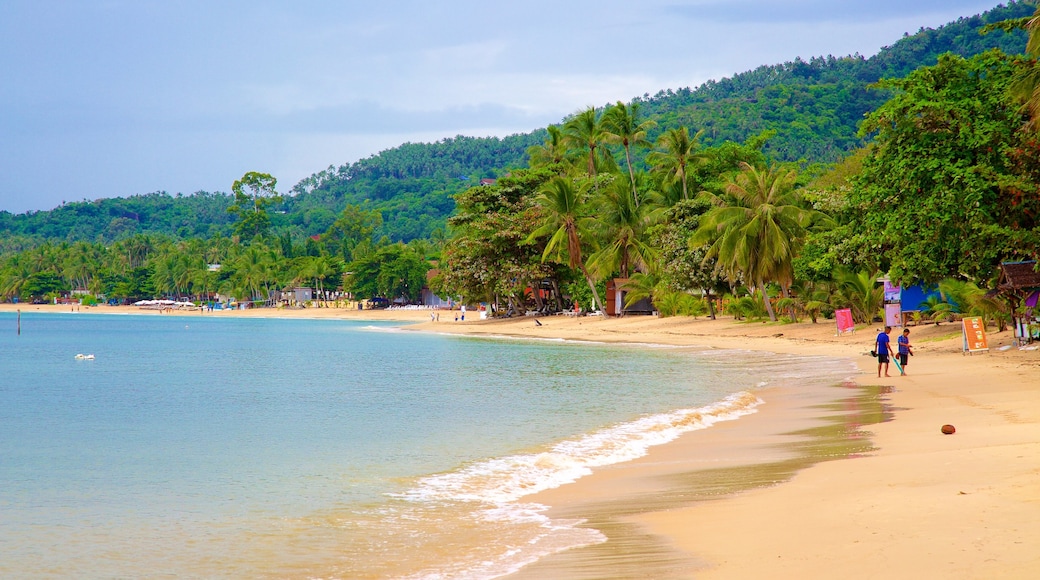 Plage de Lamai mettant en vedette plage