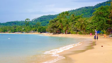 Playa de Lamai ofreciendo una playa de arena