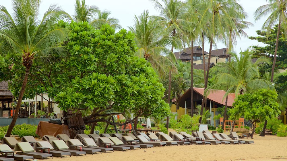 Silver Beach showing general coastal views and a luxury hotel or resort