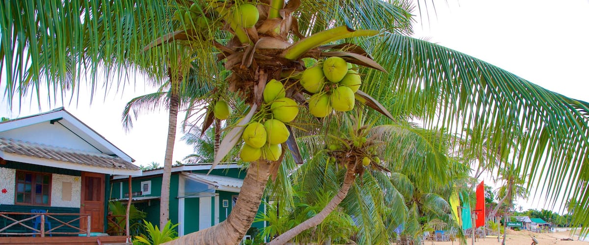 Mae Nam which includes tropical scenes and general coastal views