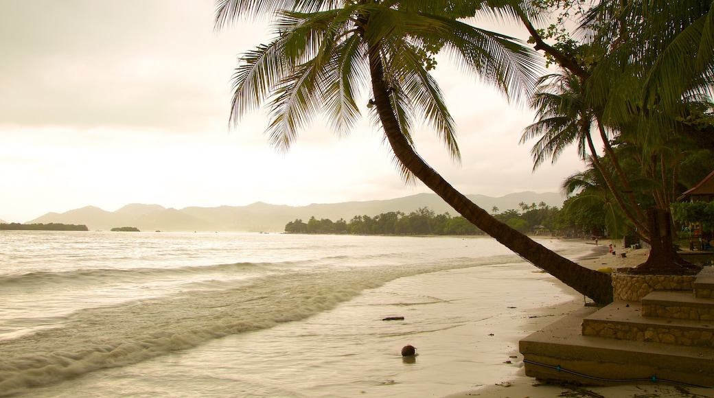 Chaweng Noi Beach featuring a sunset and a sandy beach