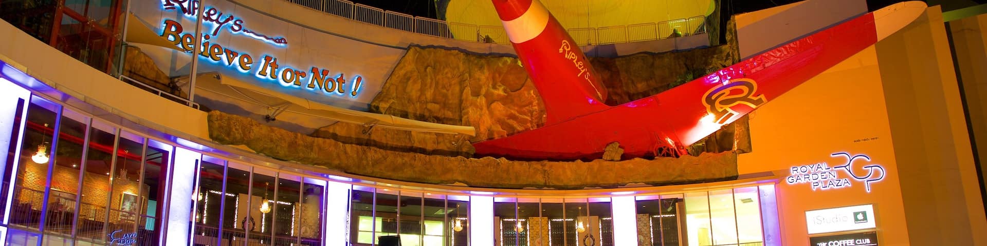 Ripley\'s Believe It or Not featuring shopping and night scenes