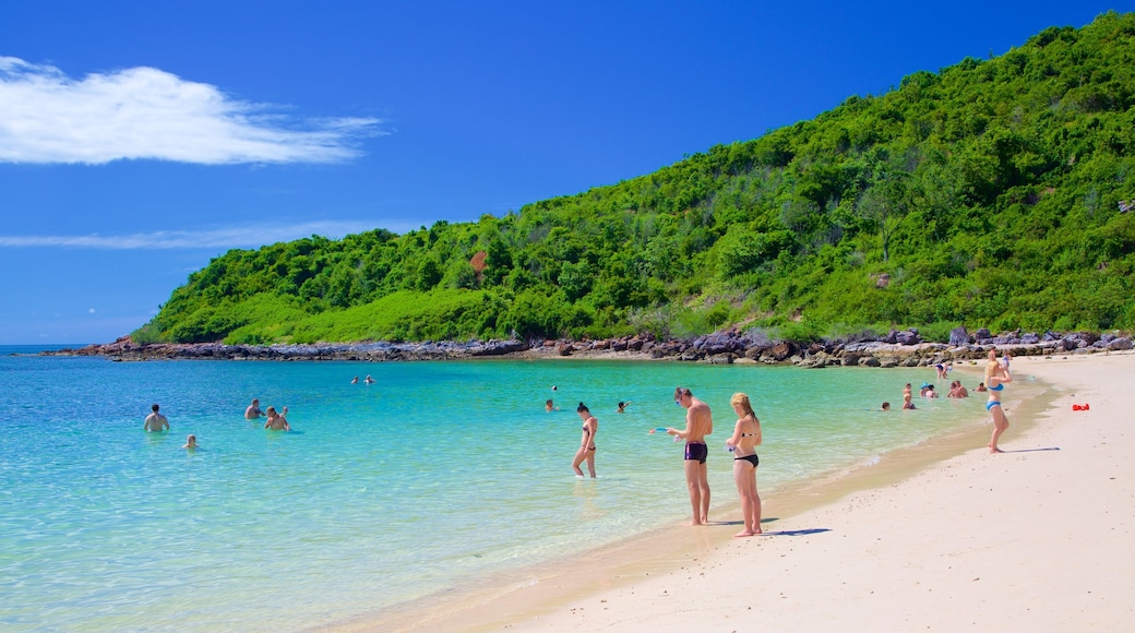 Playa Nual mostrando una playa y natación y también un gran grupo de personas