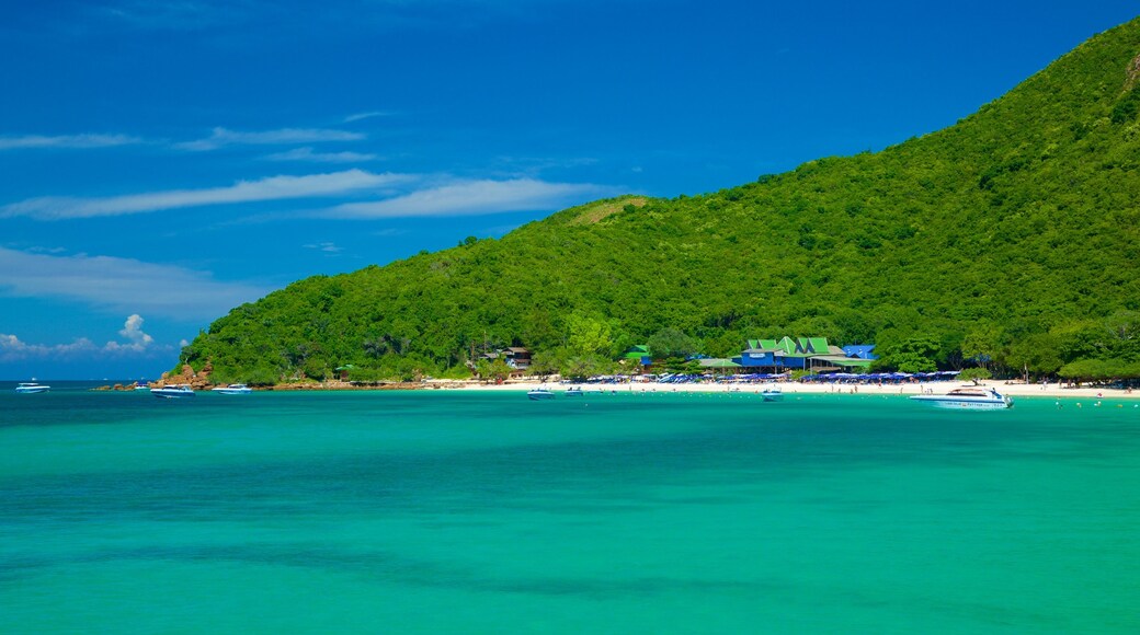 Koh Lan featuring general coastal views