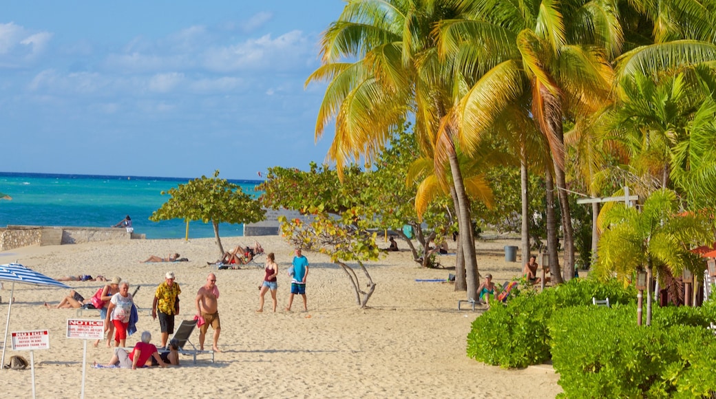 Doctor\'s Cave Beach que incluye escenas tropicales, una playa de arena y vista general a la costa