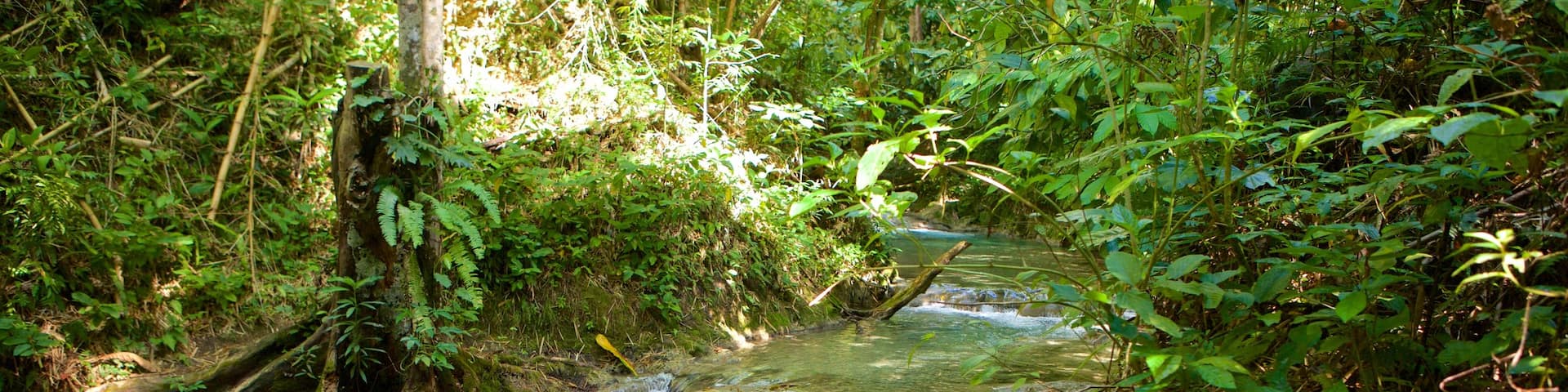Lucea, Hanover, Jamaica