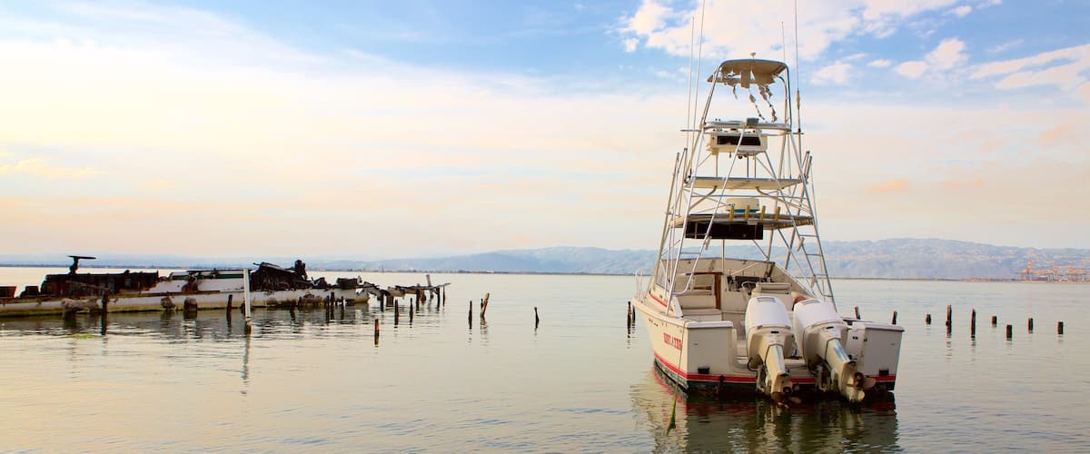 Port Royal que incluye vistas de una costa, una bahía o un puerto y embarcaciones