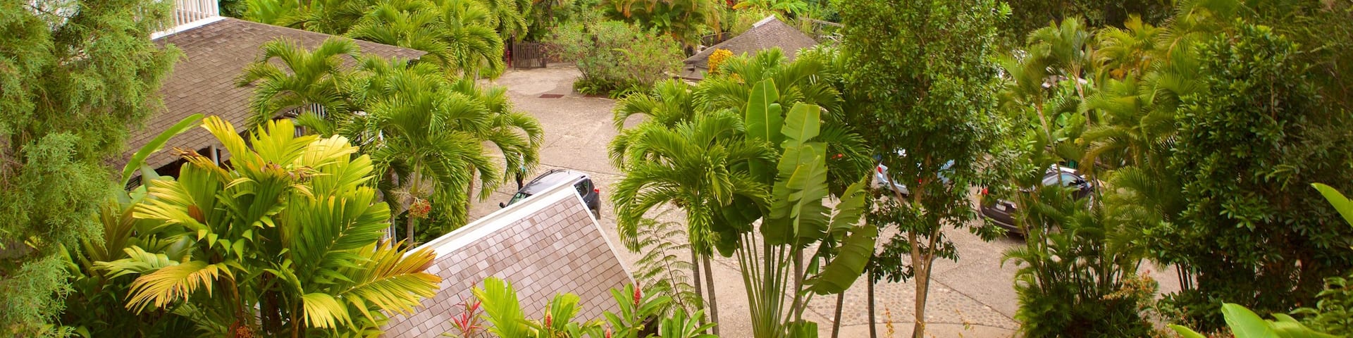 Irish Town showing mountains, forest scenes and a luxury hotel or resort