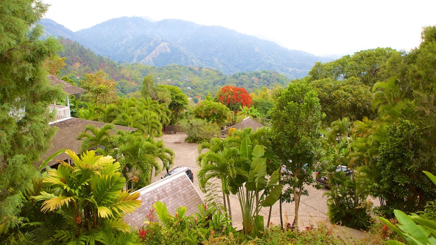 Irish Town showing forests, mountains and tropical scenes