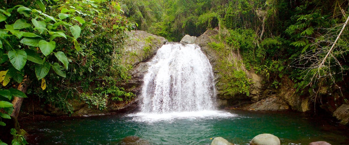Nationaal Park Blue Mountains toont een waterval en een meer of poel