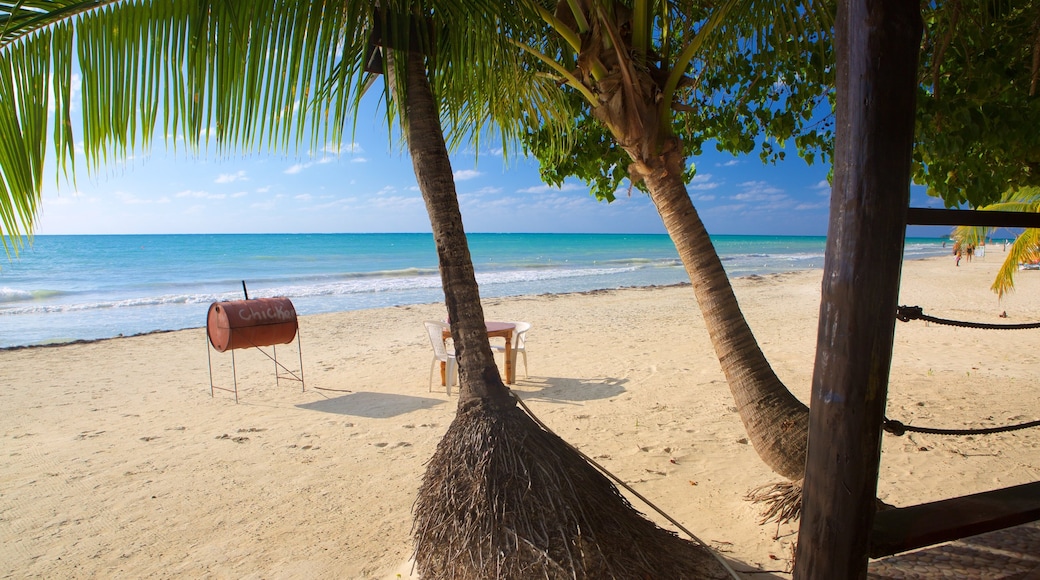 Seven Mile Beach featuring a sandy beach