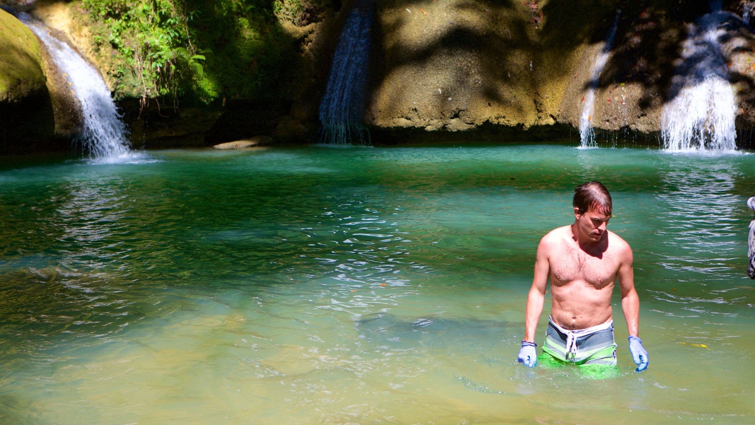 YS Falls featuring swimming, a lake or waterhole and a waterfall