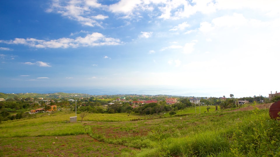 South Coast