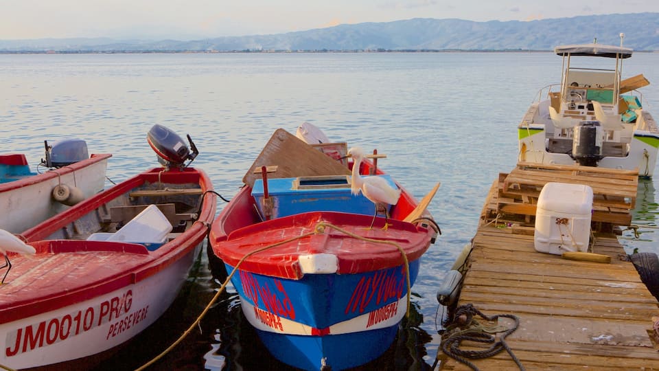 Port Royal montrant une marina, une baie ou un port et faune aviaire