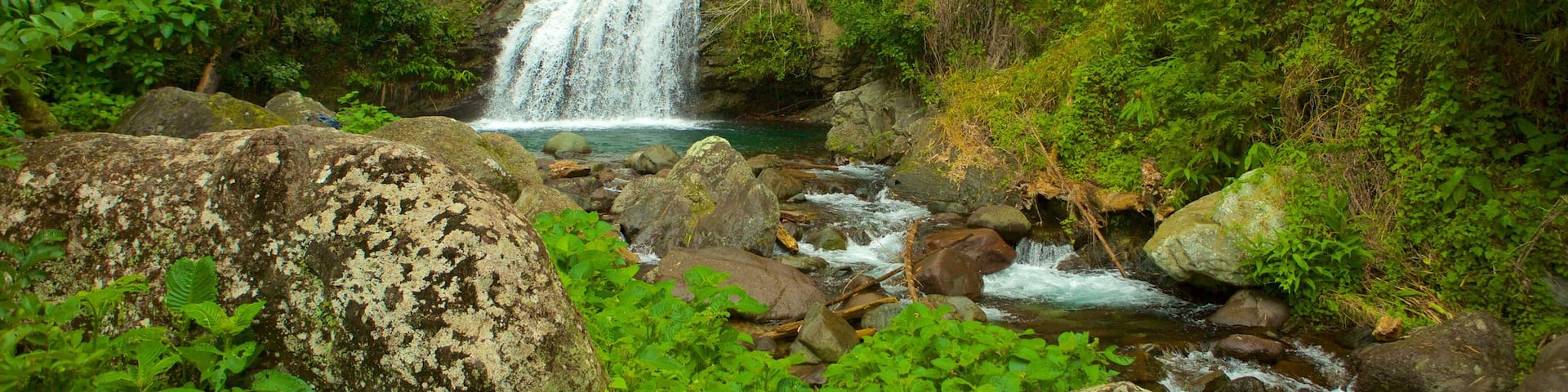 Parque nacional Blue Mountains mostrando una catarata y selva