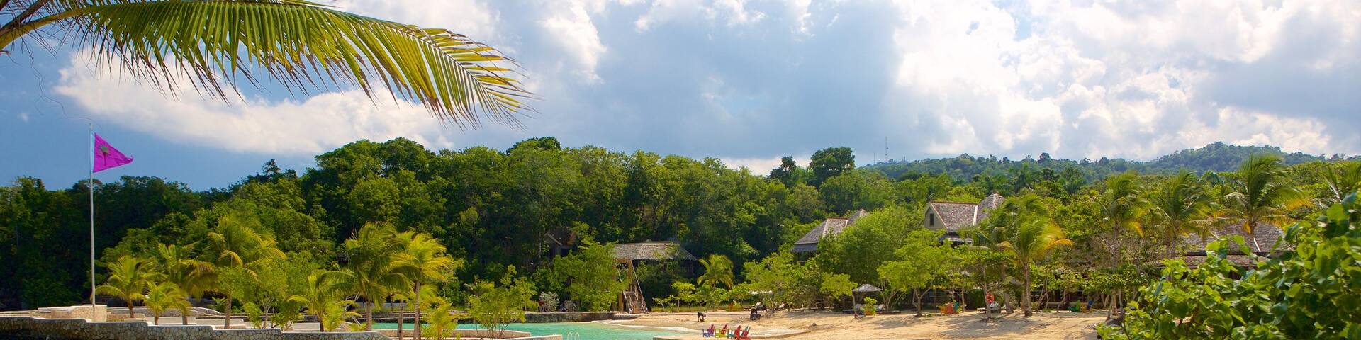 Boscobel featuring tropical scenes, a beach and views