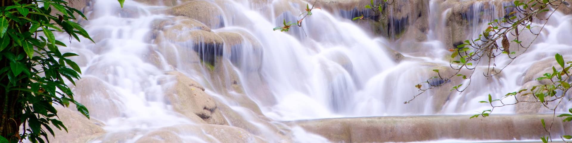 Dunn\'s River Falls which includes a cascade and rainforest