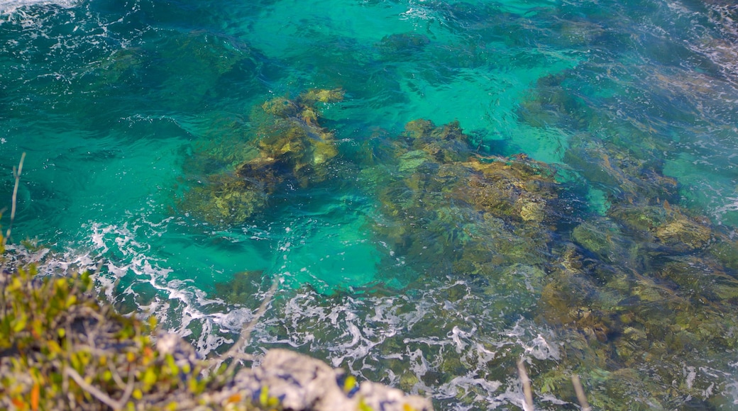 Negril Lighthouse showing rocky coastline