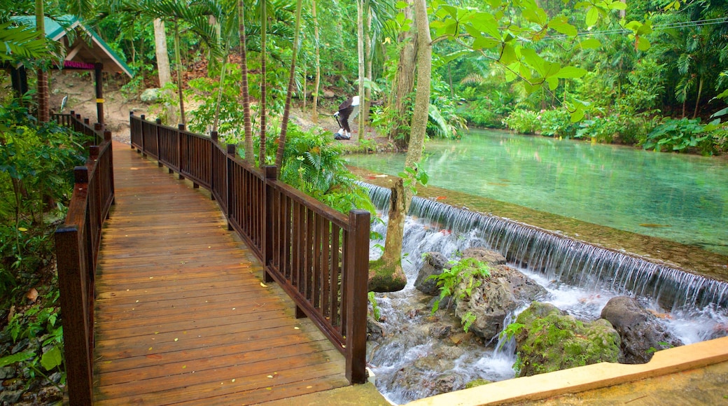 Mystic Mountain welches beinhaltet Brücke, Regenwald und Garten