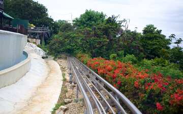 Visit Mystic Mountain in Ocho Rios | Expedia