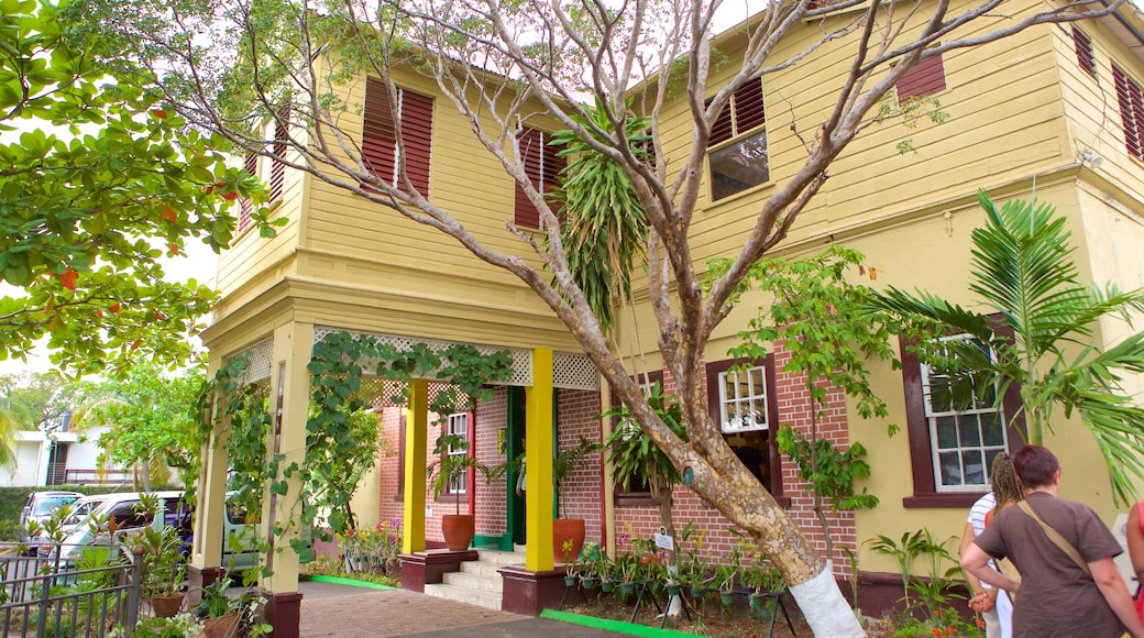 Bob Marley Museum which includes a house
