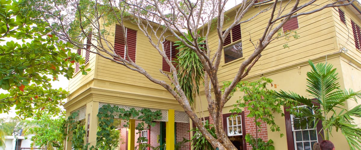 Bob Marley Museum showing a house