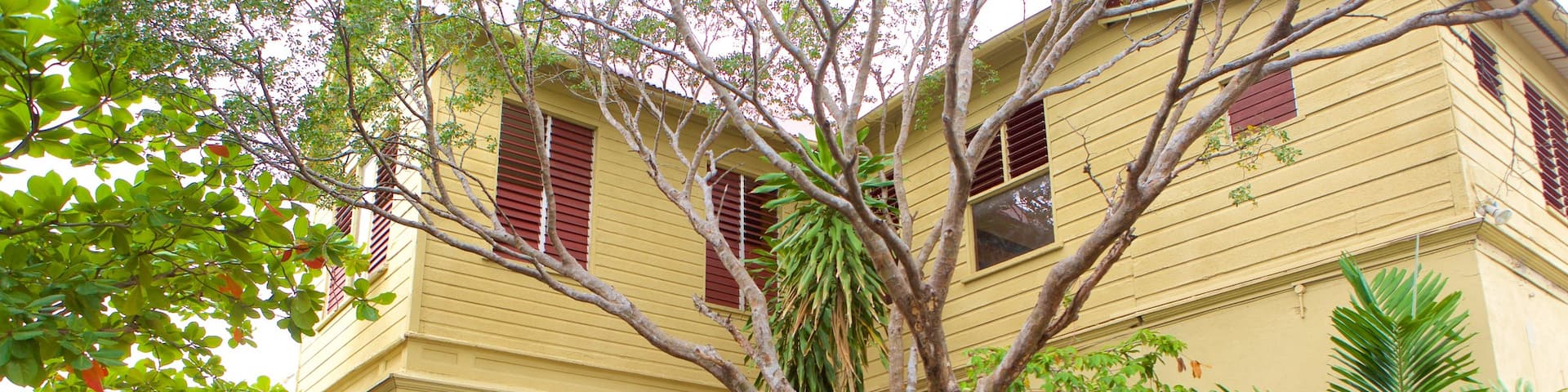 Bob Marley Museum which includes a house