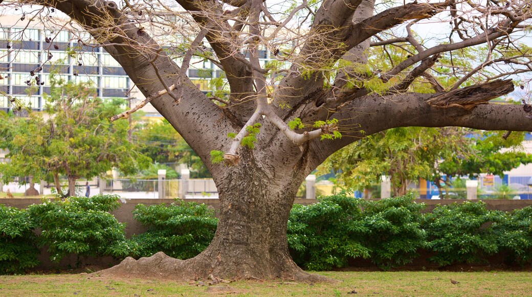 民族英雄公園 设有 花園