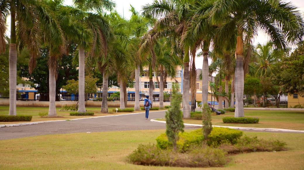 National Heroes Park which includes a garden