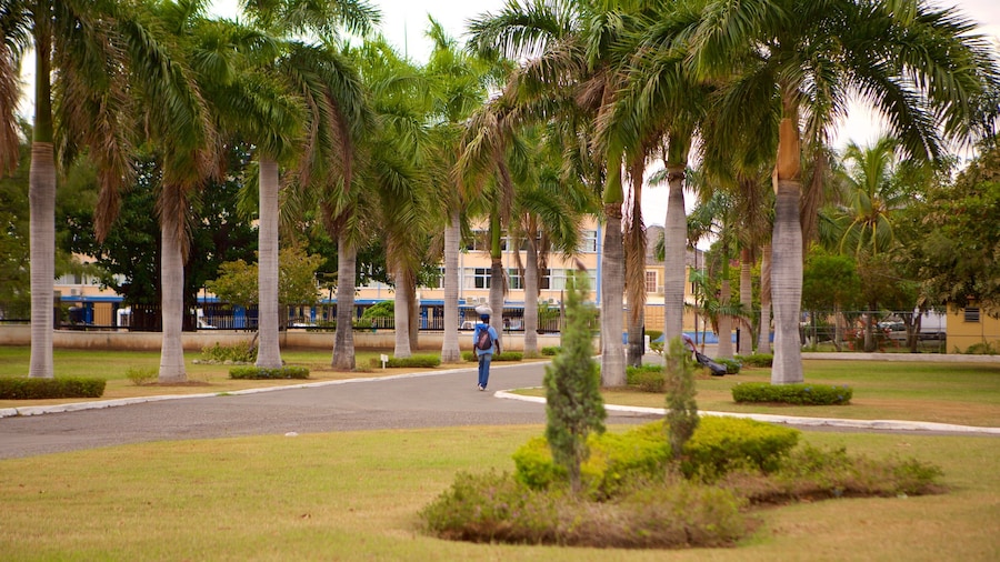 National Heroes Park showing a garden