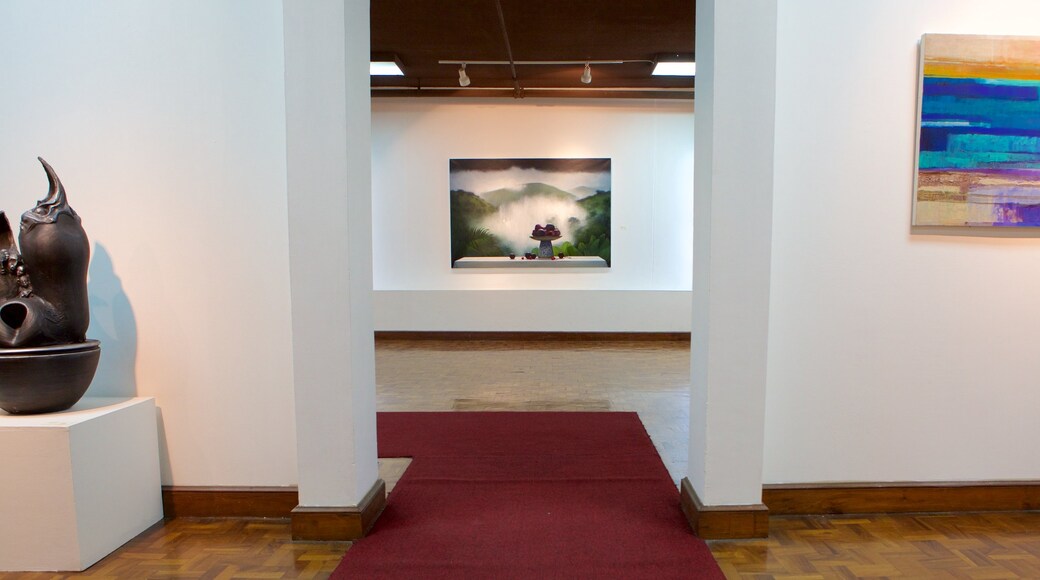 National Gallery of Jamaica showing interior views and art