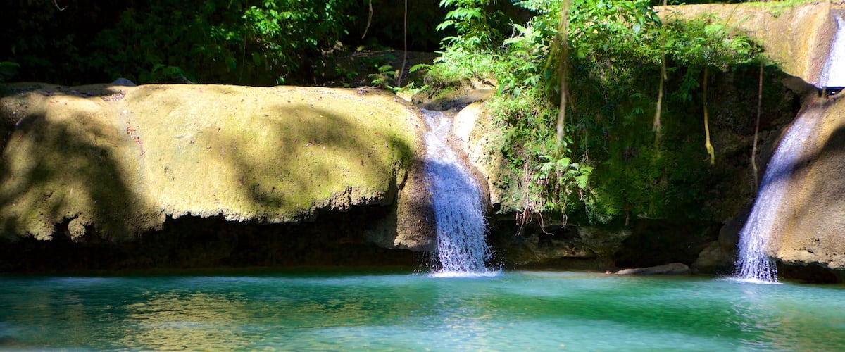 Chute Y.S. Falls montrant chute d\'eau et lac ou étang