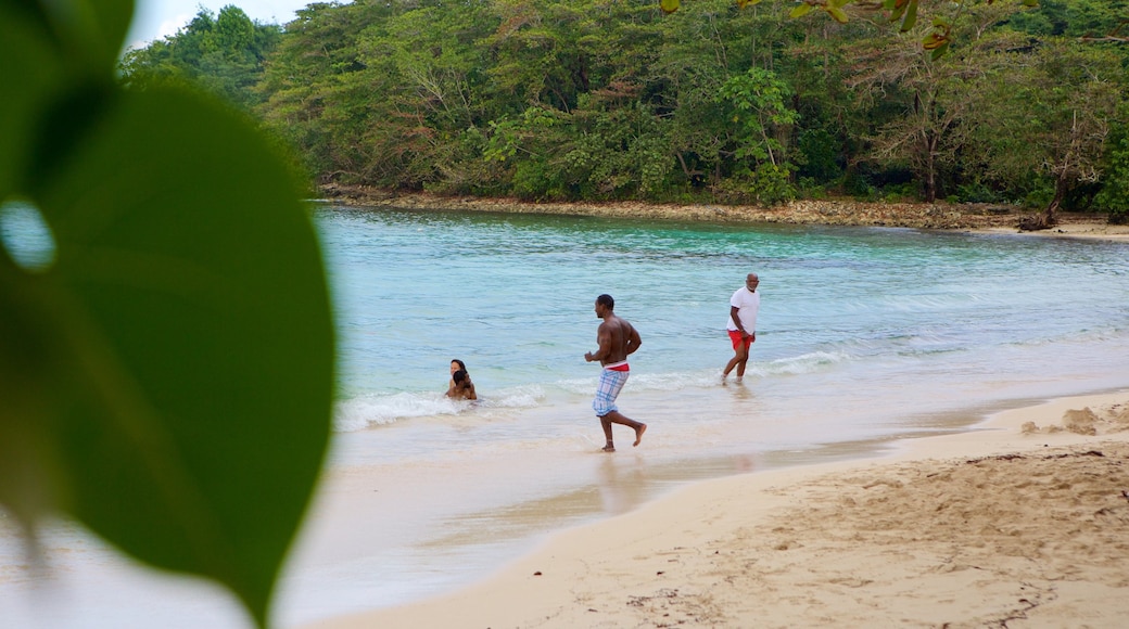Playa Winnifred que incluye una playa y también un pequeño grupo de personas