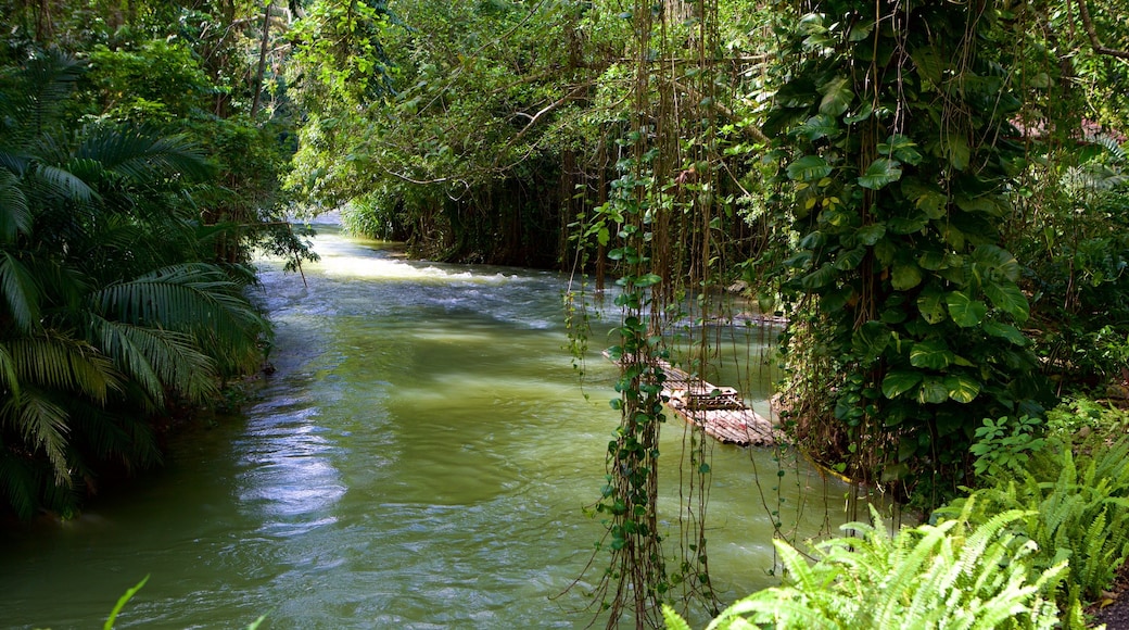 Montego Bay das einen Fluss oder Bach