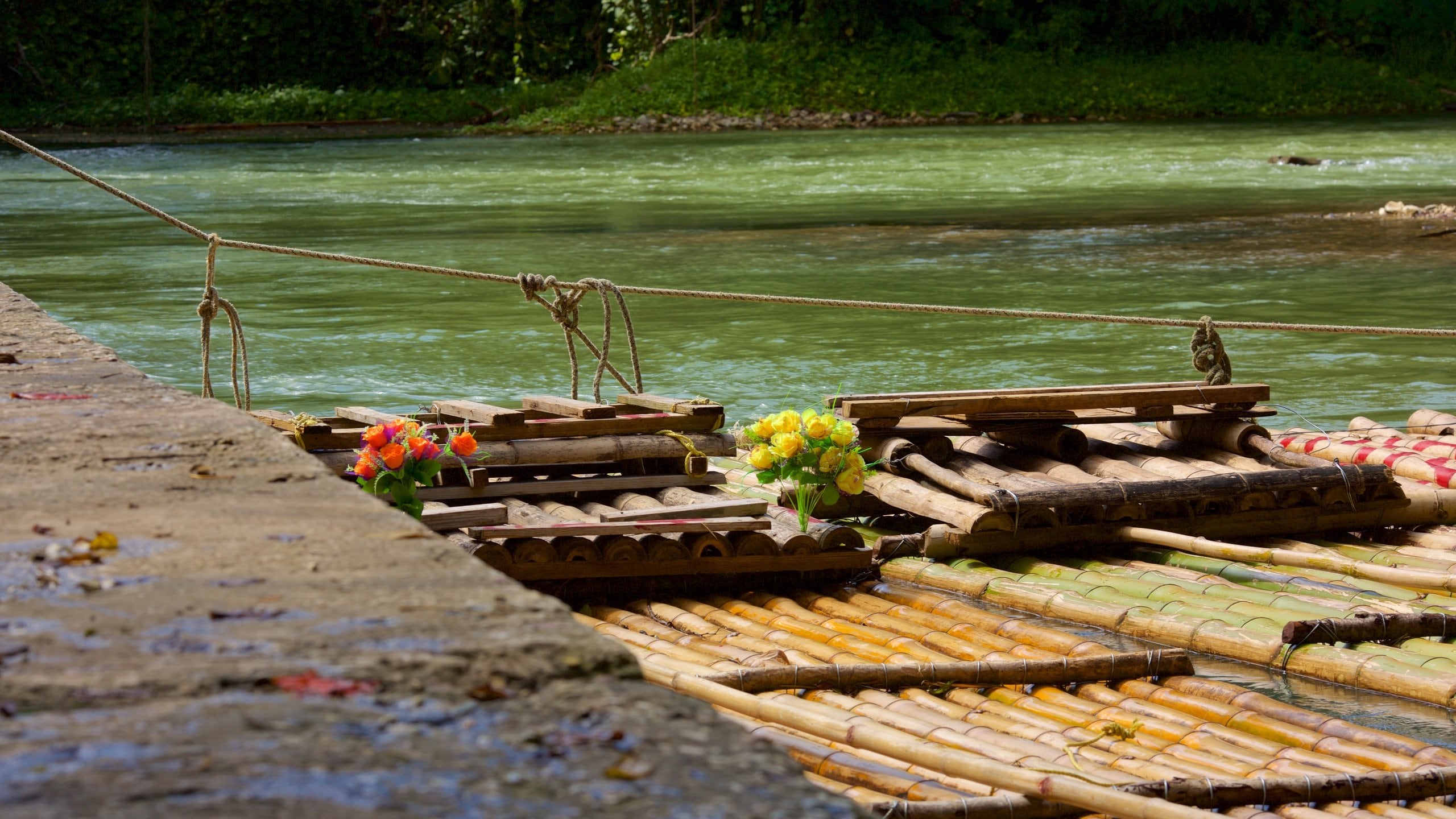 Montego Bay which includes watersports and a river or creek